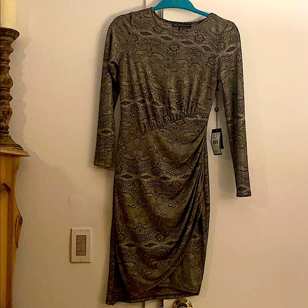 Long Sleeved Dress NWT